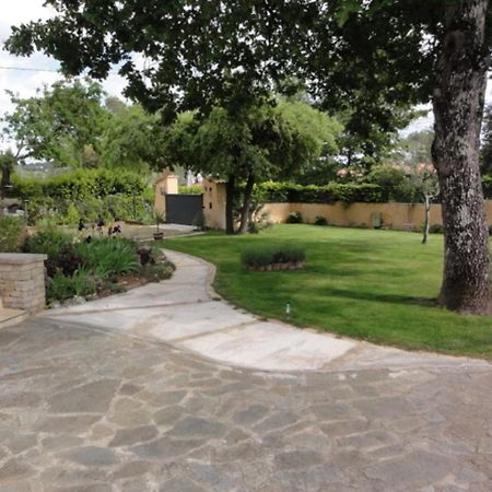 Apartament Pavillon Independant 45M2 4 Personnes Garéoult Zewnętrze zdjęcie